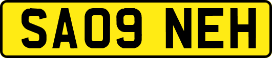 SA09NEH