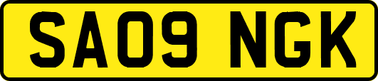 SA09NGK