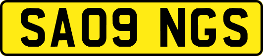 SA09NGS
