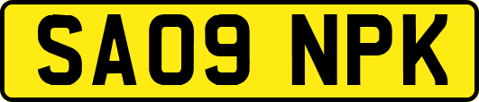 SA09NPK