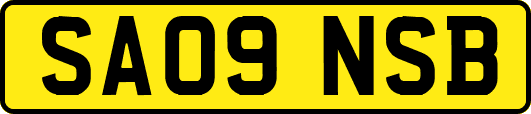 SA09NSB