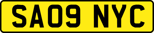 SA09NYC