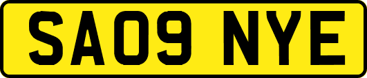 SA09NYE