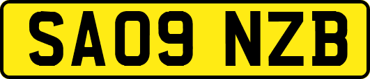 SA09NZB