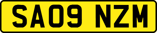 SA09NZM