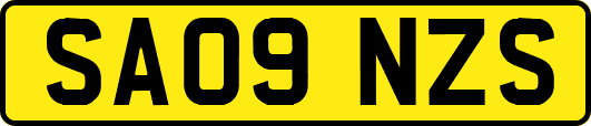 SA09NZS