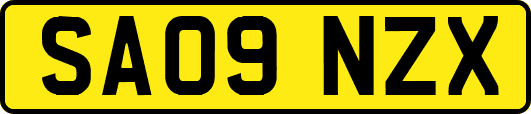 SA09NZX