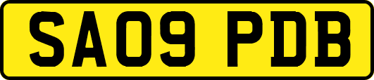 SA09PDB