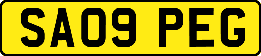 SA09PEG