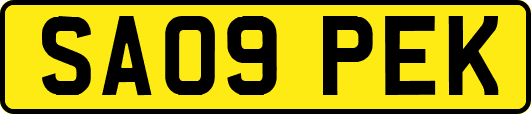 SA09PEK
