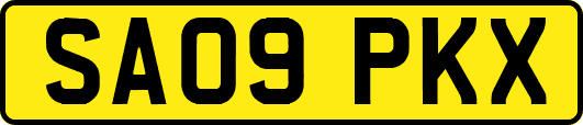 SA09PKX