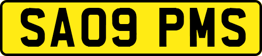 SA09PMS