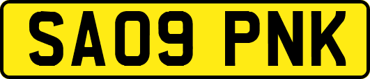 SA09PNK