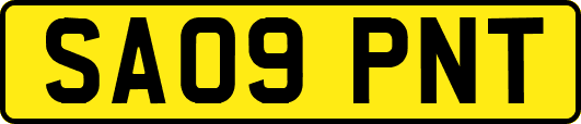 SA09PNT