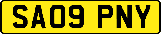 SA09PNY