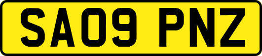 SA09PNZ
