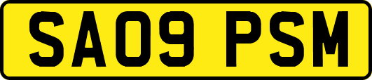 SA09PSM