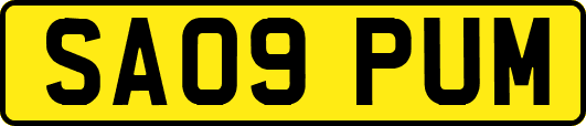 SA09PUM