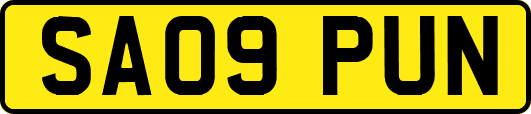 SA09PUN
