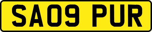 SA09PUR