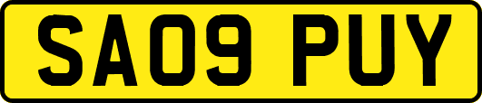 SA09PUY
