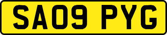 SA09PYG