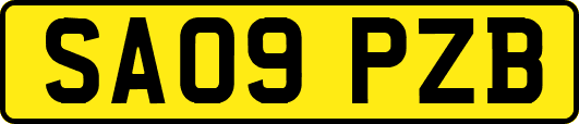 SA09PZB