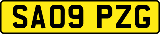 SA09PZG