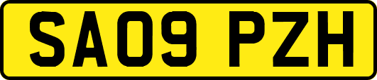 SA09PZH