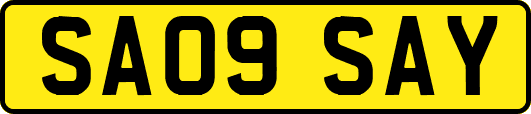 SA09SAY