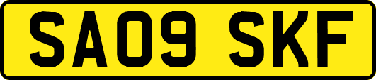 SA09SKF