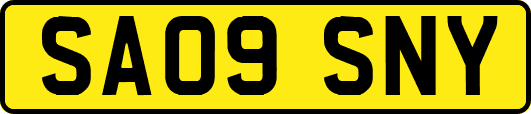 SA09SNY