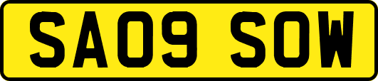 SA09SOW