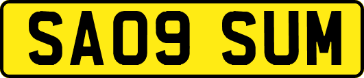 SA09SUM