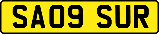 SA09SUR