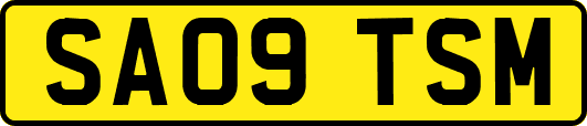 SA09TSM