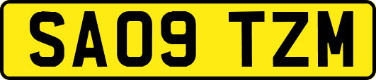 SA09TZM