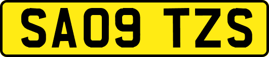 SA09TZS