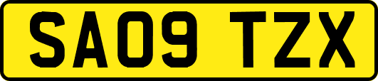 SA09TZX