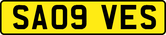 SA09VES