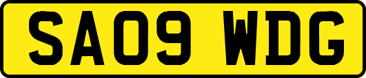 SA09WDG