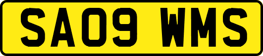 SA09WMS