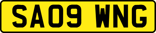 SA09WNG