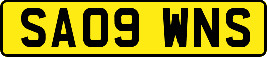 SA09WNS