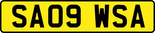 SA09WSA