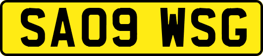 SA09WSG