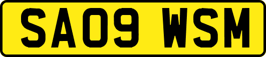 SA09WSM