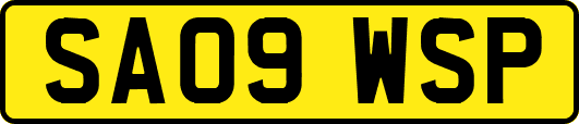 SA09WSP