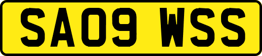 SA09WSS
