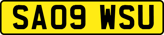 SA09WSU